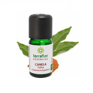 Óleo essencial de Canela Folha - Terraflor