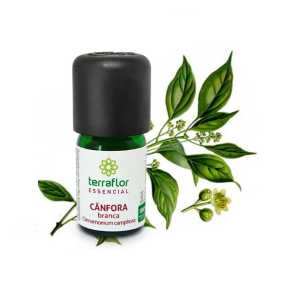 Óleo essencial de Cânfora Branca - Terraflor
