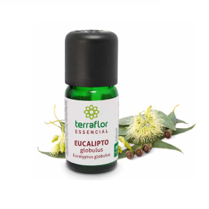 Óleo essencial de Eucalipto Glóbulos - Terraflor