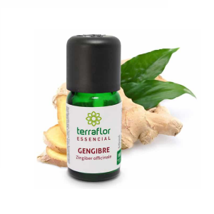 Óleo essencial de Gengibre - Terraflor