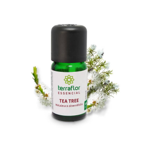 Óleo essencial de Tea Tree - Terraflor