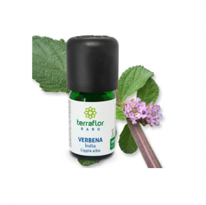 Óleo essencial de Verbena India - Terraflor